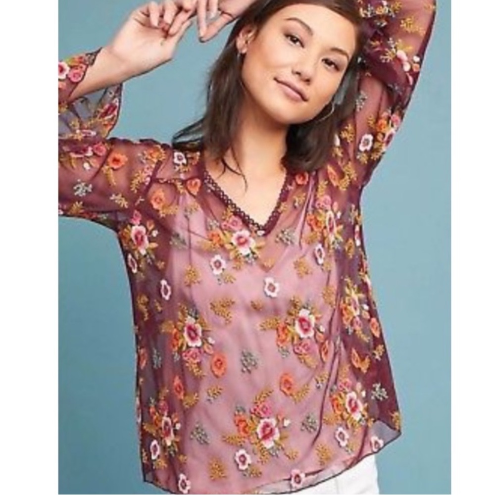 Feather Bone Anthropologie Sheer Embroidered top XS NWT